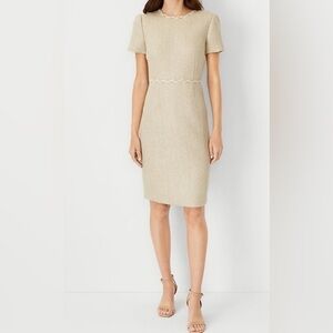 NEW ANN TAYLOR PETITE METALLIC CHAMPAGNE TWEED SHEATH DRESS SZ 0P